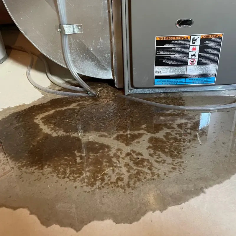Pipe Burst and Leak Restoration in Tompkinsville, NY